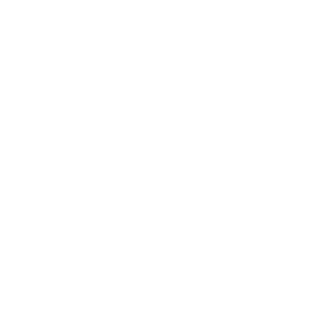 Bettwanzen